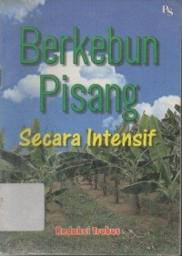 Berkebun Pisang Secara Intensif