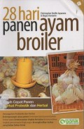 28 Hari Panen Ayam Broiler