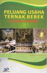 Pluang Usaha Ternak Bebek Secara Intensif