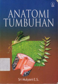 Image of Anatomi Tumbuhan