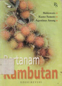 Image of Bertanam Rambutan