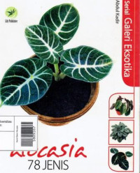 Image of Serial Galeri Eksotika Alocasia