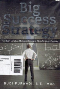 Image of Big Success Strategy