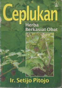 Image of Ceplukan : Herba Berkhasiat Obat