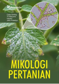 Image of Agropolitan Teori dan Aplikasi