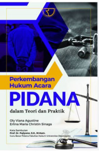 Image of Perkembangan Hukum Pidana Dalam Teori dan Praktik