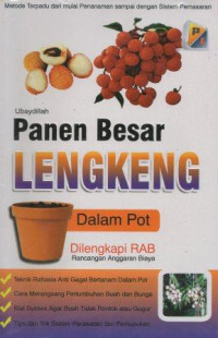 Image of Panen Besar Lengkeng Dalam Pot