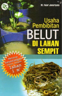 Image of Usaha Pembibitan Belut Di Lahan Sempit